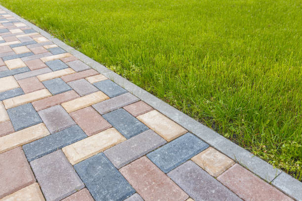 Reasons to Select Us for Your Driveway Paving Requirements in Salida, CO